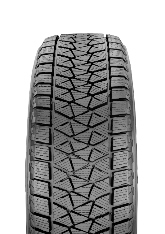 Bridgestone Blizzak DM-V2