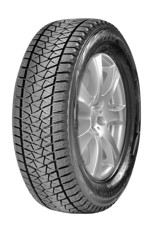 Bridgestone Blizzak DM-V2