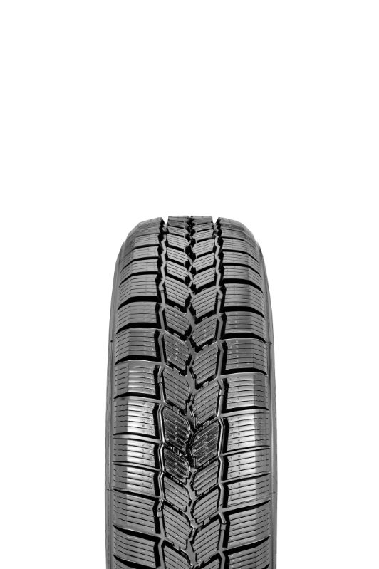 Michelin Agilis Snow-Ice 51