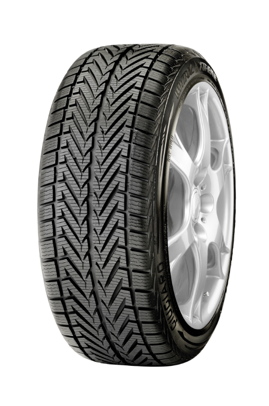 Vredestein Wintrac