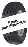 Pneu Pirelli Carrier All Season SF2